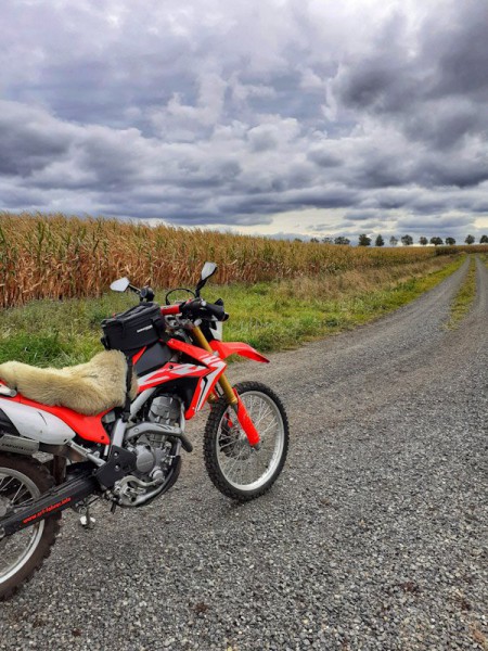 PSX_20200927_144148.jpg (155.39 KiB) 4317 mal betrachtet PSX_20200927_144148.jpg