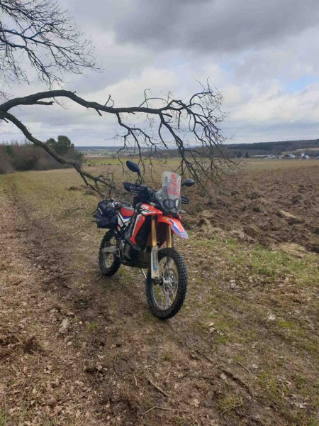 20210312_102106_compress76.jpg (355.24 KiB) 2899 mal betrachtet 20210312_102106_compress76.jpg