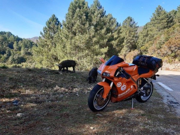 20191021_115026_smaller.jpg (290.62 KiB) 4742 mal betrachtet 20191021_115026_smaller.jpg