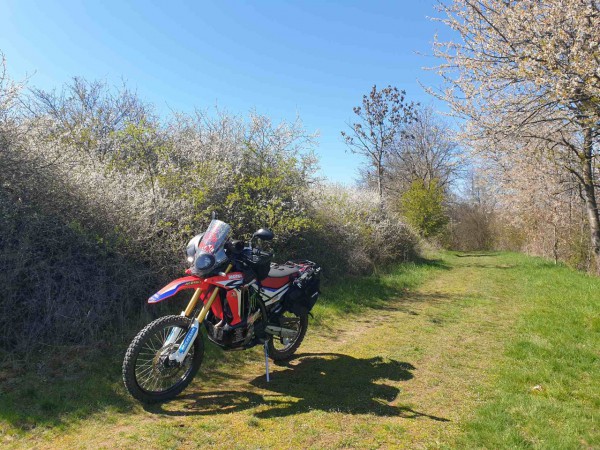 20210426_152308_compress32.jpg (439.23 KiB) 3243 mal betrachtet 20210426_152308_compress32.jpg