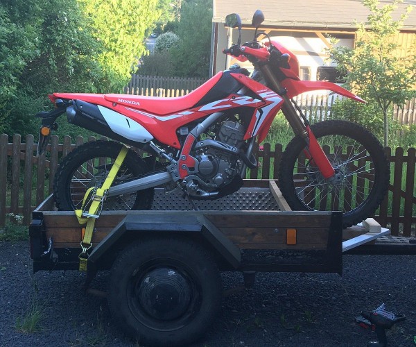 IMG_30042021_164021_(1200_x_1000_pixel).jpg (304.13 KiB) 2937 mal betrachtet IMG_30042021_164021_(1200_x_1000_pixel).jpg