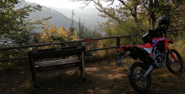 IMG_14112021_185254_(1280_x_650_pixel).jpg (240.65 KiB) 2770 mal betrachtet IMG_14112021_185254_(1280_x_650_pixel).jpg