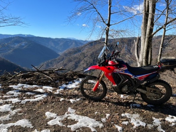 FB2046EB-95D4-447E-9861-B6A95E47683A.jpeg (166.11 KiB) 2026 mal betrachtet FB2046EB-95D4-447E-9861-B6A95E47683A.jpeg