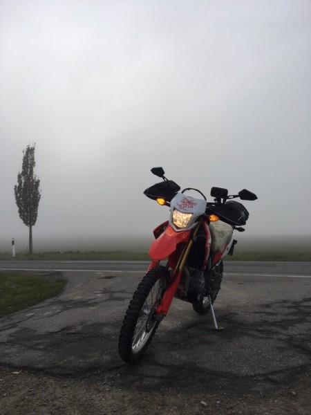 A31DA1EF-D8B1-4ACF-BA7E-B9D3EA1D27F0.jpeg (111.15 KiB) 4824 mal betrachtet A31DA1EF-D8B1-4ACF-BA7E-B9D3EA1D27F0.jpeg