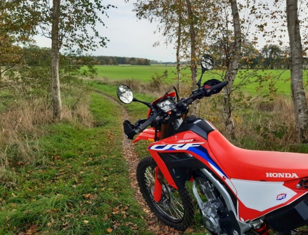 herbst_01.jpg