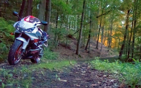 Fireblade_Offroad.jpg