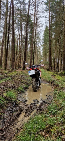 20230501_133509.jpg (311.32 KiB) 3885 mal betrachtet 20230501_133509.jpg