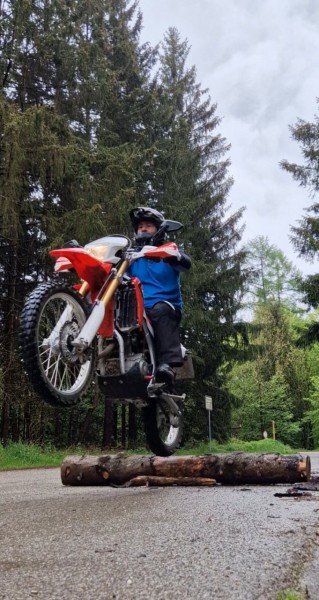 Baumstamm Training_klein.jpg (226 KiB) 3984 mal betrachtet Baumstamm Training_klein.jpg