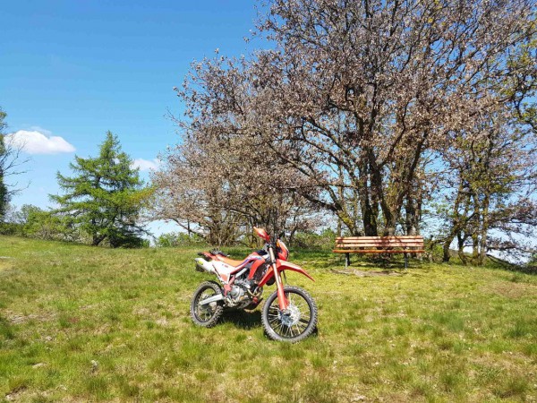 20230518_153301_compress42.jpg (503.87 KiB) 2843 mal betrachtet 20230518_153301_compress42.jpg