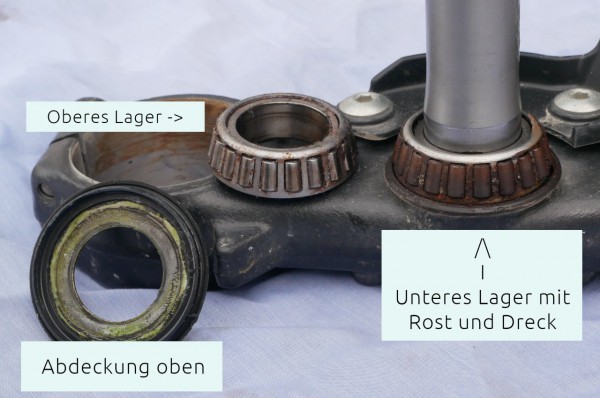 Lenkkopflager_unten.JPG