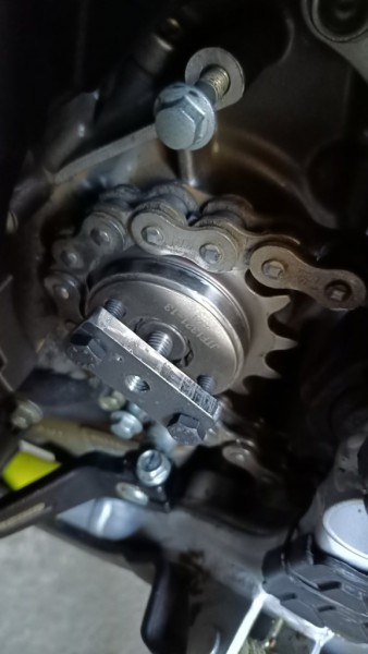 Ritzel 6 .jpg
