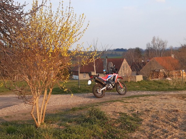 20250324_171019.jpg