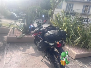 IMG_7517.jpeg